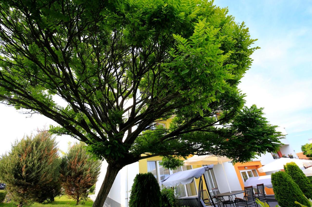Stayinn Rainbow Houses Beachfront By Asteri Hotels Солнечный берег Экстерьер фото